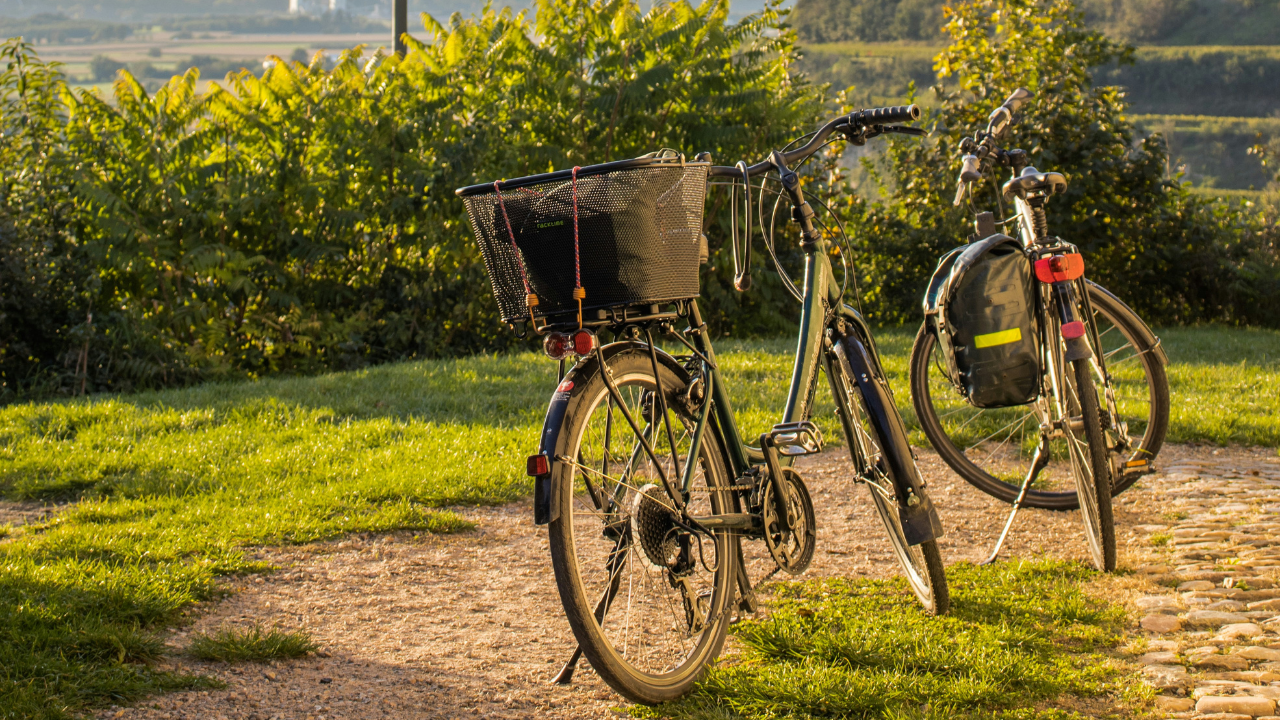 Activité vélo en Provence Activité vélo en Provence